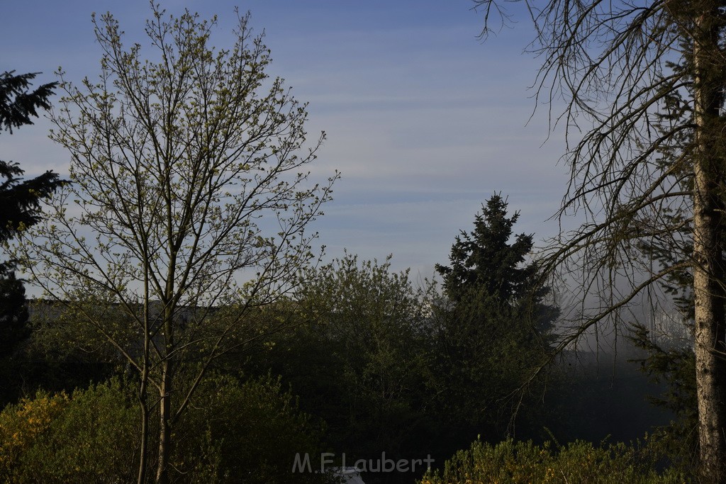 Feuer Remondis Koeln Rodenkirchen P15.JPG - Miklos Laubert